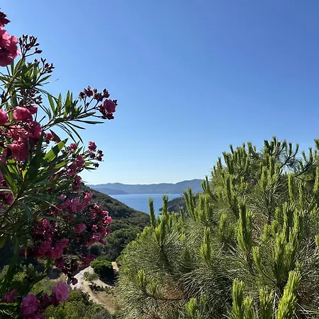 Innamorata * Capoliveri (Isola d'Elba)